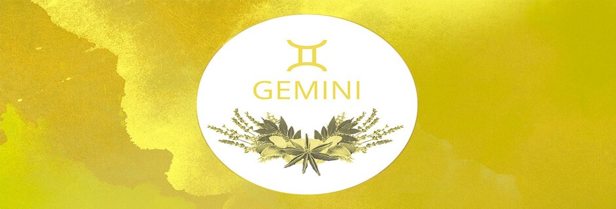 Gemini merikundli.com